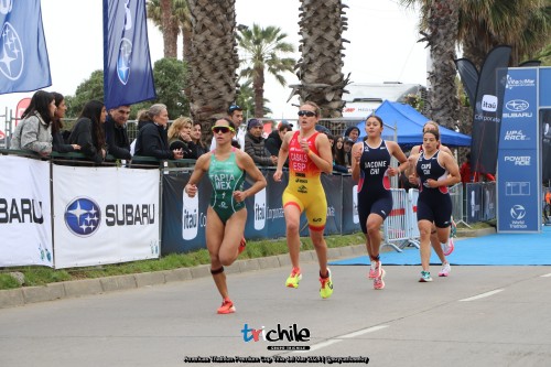 Cobertura_Trichile_Americas_Triathlon_Premium_Cup_Vina_del_Mar_2024_soycarloseloy357.jpg