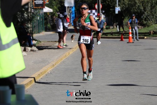 imagen_noticia_triatlon_caburgua329.jpg