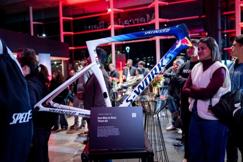 DSC_2570-compressed.jpg